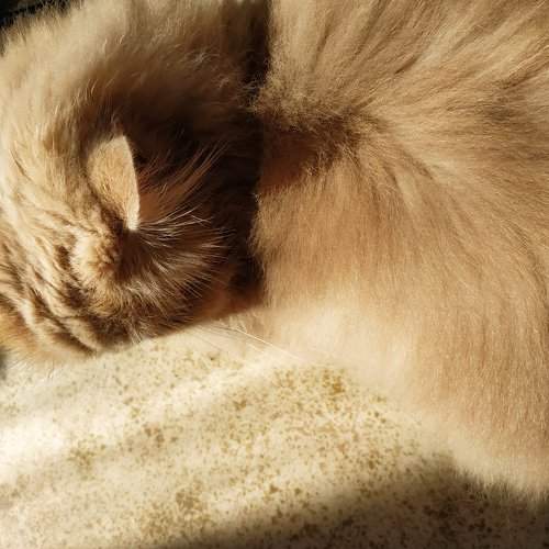 Photo #5648401