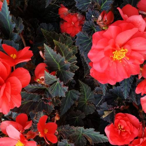 Photo #5648498