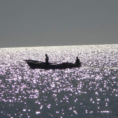 Photo #5648627
