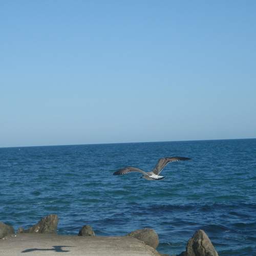 Photo #5648670