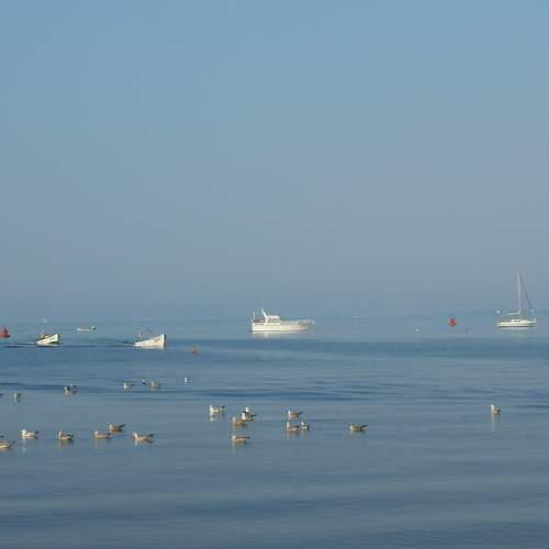 Photo #5648676