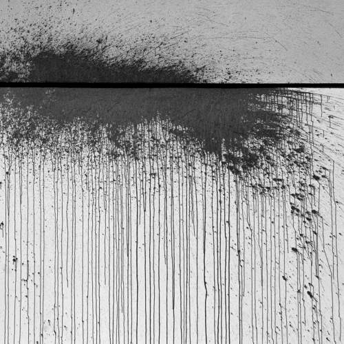 Photo #5648887