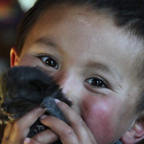 Kazakh boy