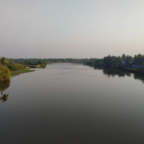 Photo #5649140