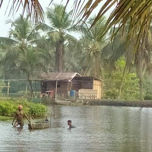 Photo #5649141