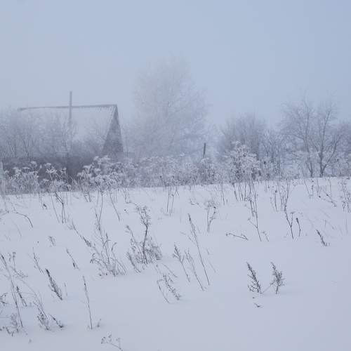 Photo #5649248