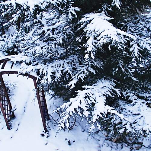 Photo #5649260