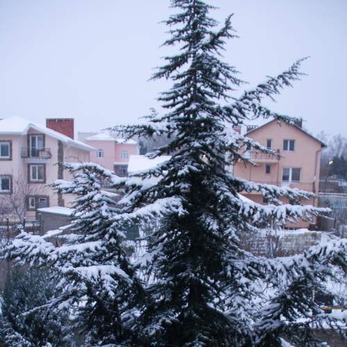 Photo #5649288
