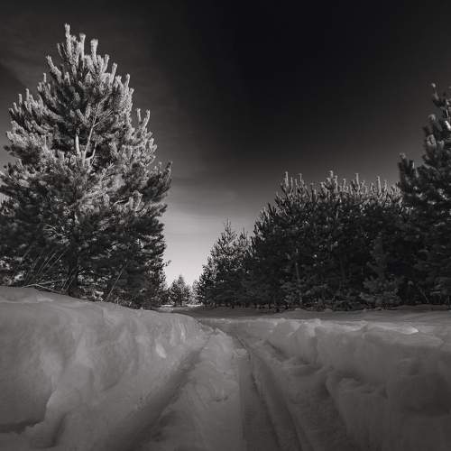 Photo #5649346