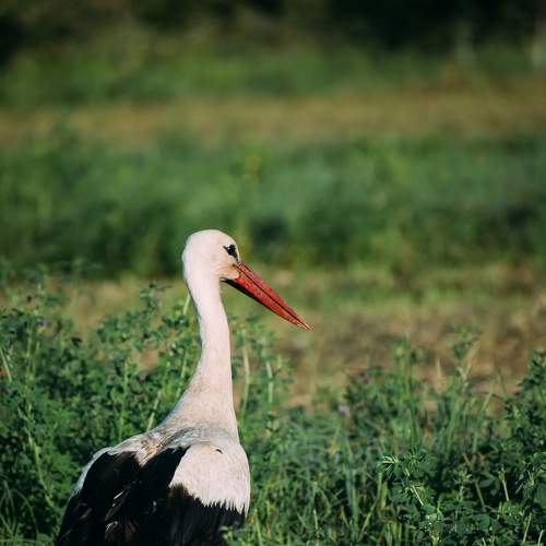 Photo #5649475