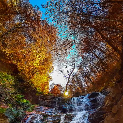 Photo #5650022