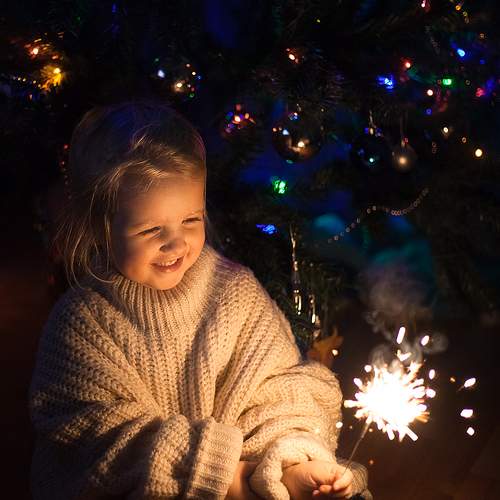 Photo #5650209