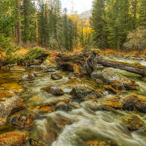 Фотография #5650218