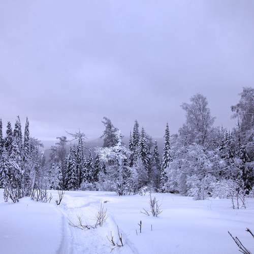Photo #5650371