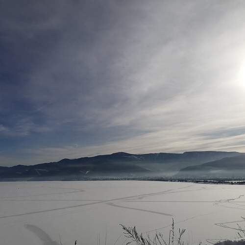 Photo #5650389