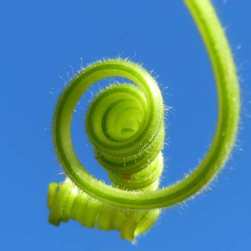 Photo #5650499