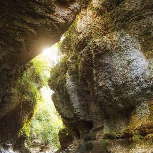 Фотография #5650522