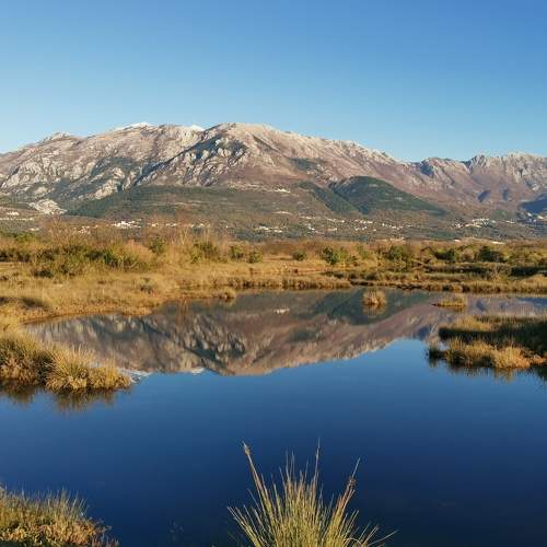 Photo #5651363