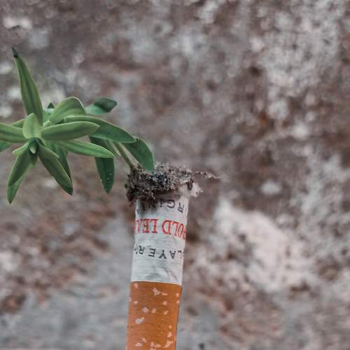 Stop smoking