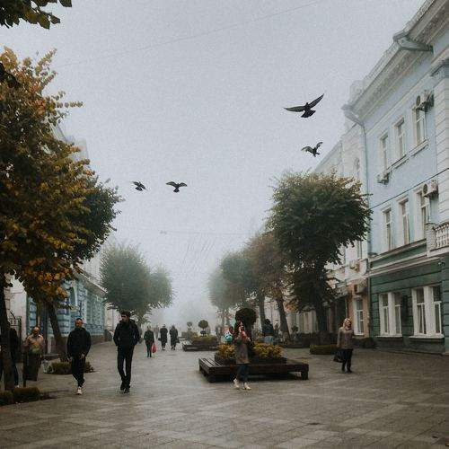 Photo #5651793