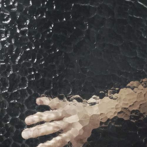 Photo #5652071