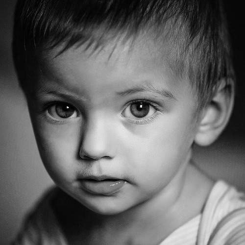 Photo #5652442
