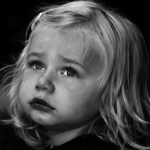 Photo #5652445