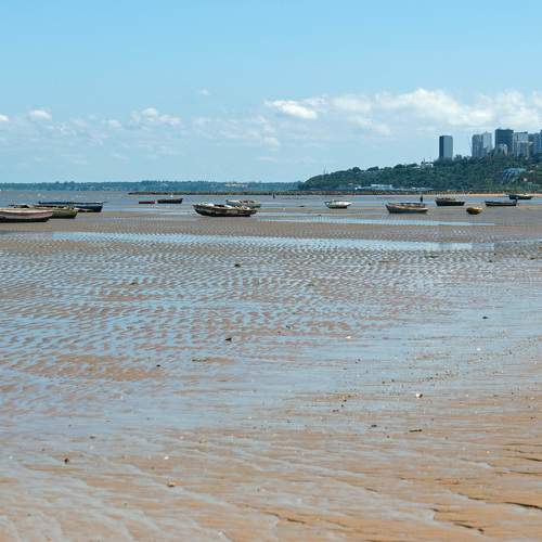 Photo #5652553