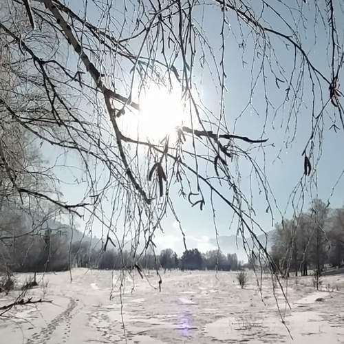 Photo #5652890