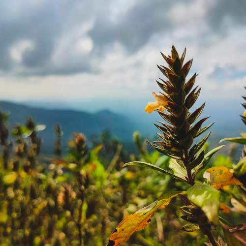Photo #5652905