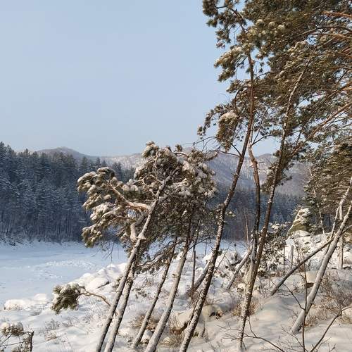 Photo #5652940