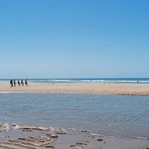 Photo #5653007
