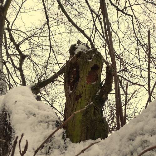 Photo #5653078
