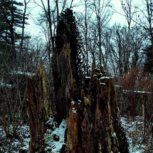 Photo #5653084