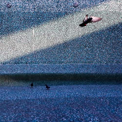 Rays of hope (Freedom)