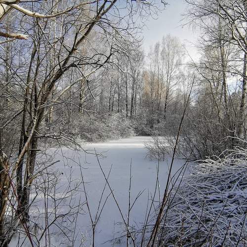 Photo #5653235
