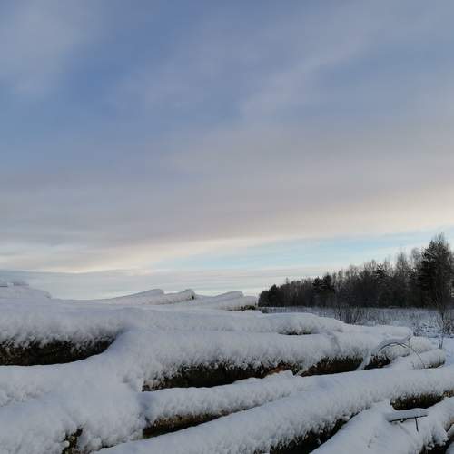 Photo #5653244