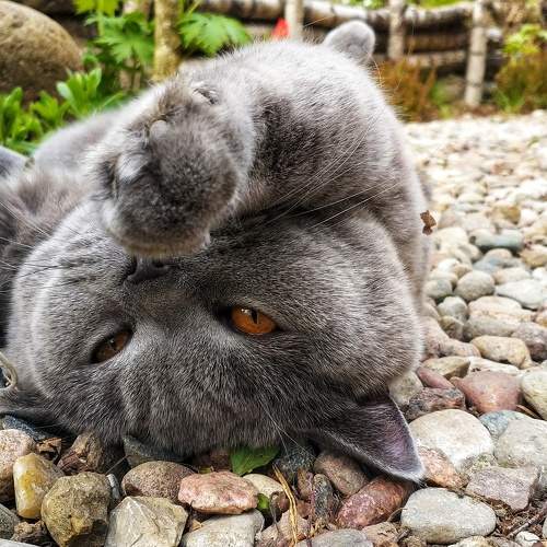 Photo #5653280