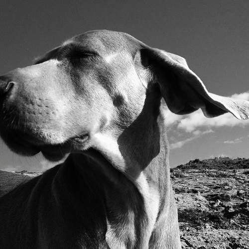 Photo #5653292