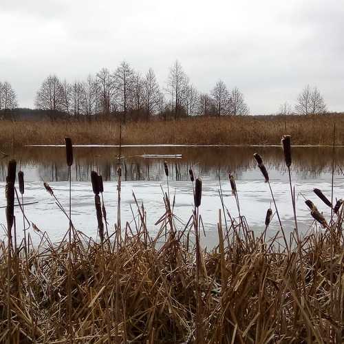 Photo #5653308