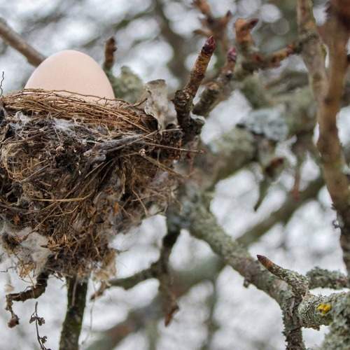 Photo #5653478
