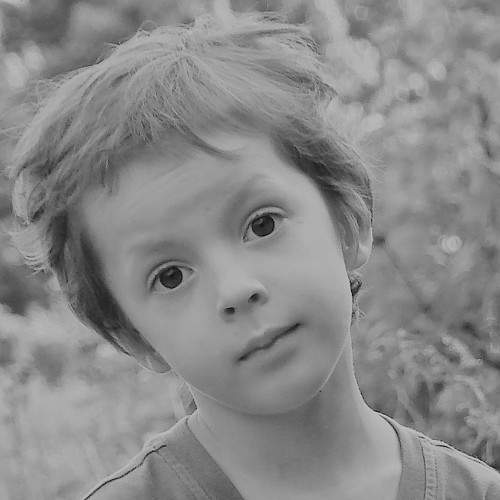 Photo #5653485