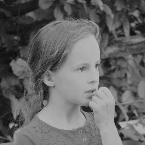 Photo #5653489