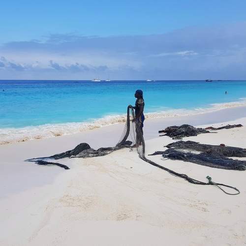 Photo #5653606