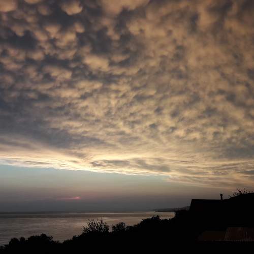 Photo #5653629