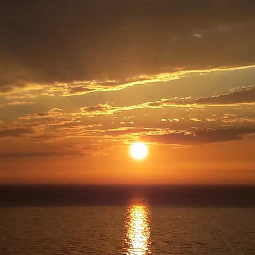 Photo #5653679
