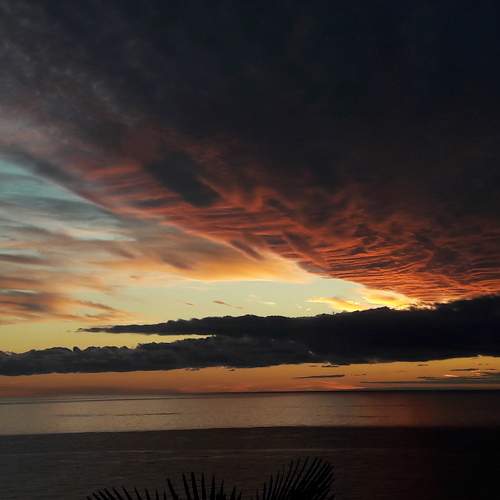 Photo #5653685