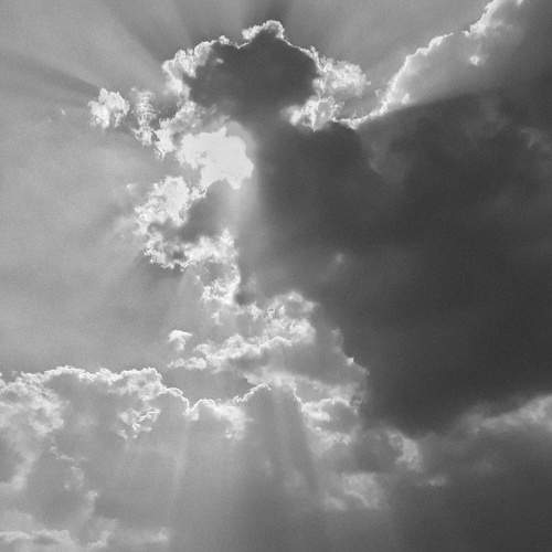 Rays