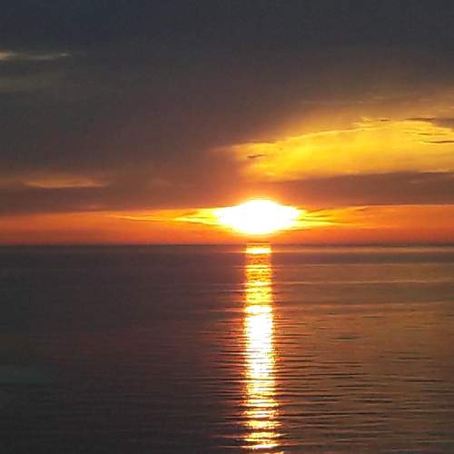 Photo #5653890