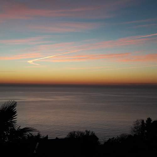 Photo #5653892